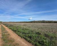 Resale - Plots and Land - Yecla