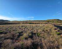 Resale - Plots and Land - Yecla