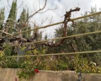 Resale - Semi-Detached - Murcia