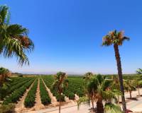 Resale - Semi detached villa - Algorfa - La Finca Golf Resort