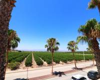 Resale - Semi detached villa - Algorfa - La Finca Golf Resort