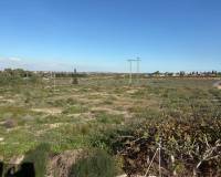 Resale - Town House - Algorfa - Montemar