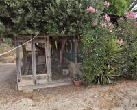 Resale - Town House - Catral - CatralAlicanteValenciaSpain