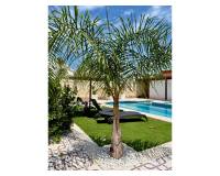 Resale - Villa / Detached - Ciudad Quesada - Quesada Center